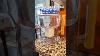 Freesample Epicwaterfilters Pitcher Waterfilter Review Water Bpafree Filter Short Shorts