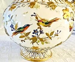 Gorgeous Large Antique Royal Crown Derby H P Birds Porcelain Water Jug Pitcher