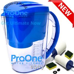 ProOne Water Filter Pitcher with 2 ProOne G2.0M Filter Elements