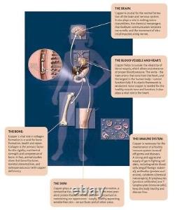 Pichet de 2 litres en cuivre pur à 100% avec les bienfaits pour la santé de l'Ayurveda - Carafe à eau